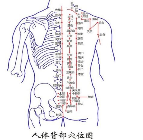 背 痣|背部有痣图解大全 背部有痣的人看命运